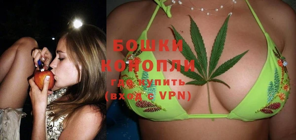 дмт Богородицк