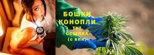 дурь Богданович