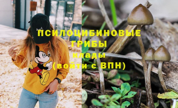 дмт Богородицк