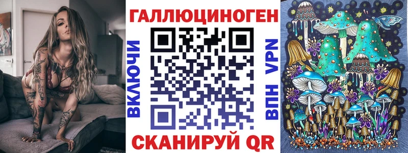 Псилоцибиновые грибы Psilocybe  darknet Telegram  Шелехов 