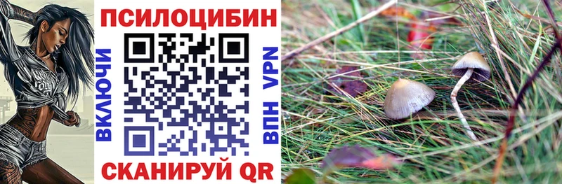 Псилоцибиновые грибы ЛСД Шелехов